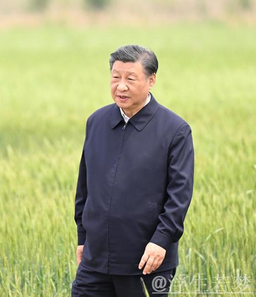 习近平点赞信团鼓楼振兴：祝生活越来越红火